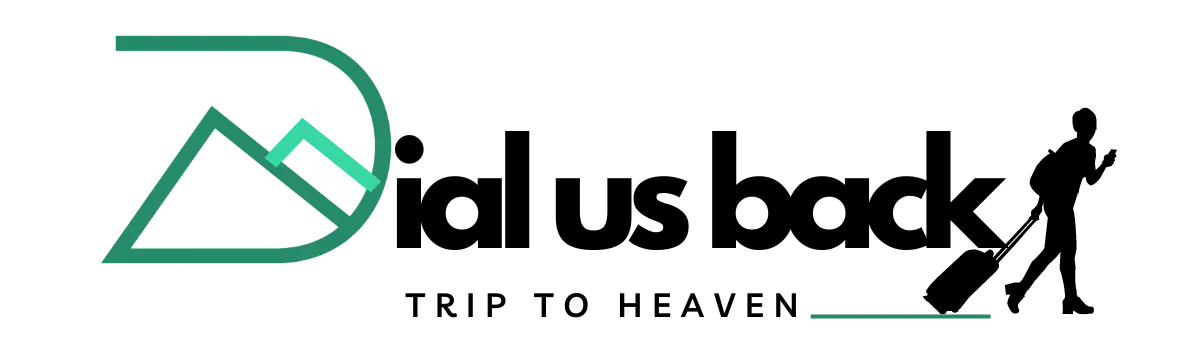 Dial Us Back logo