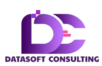 Datasoft Consulting - Best Digital Marketing Company in india